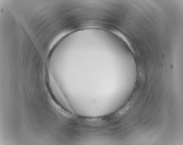 X0000074971147200609291931