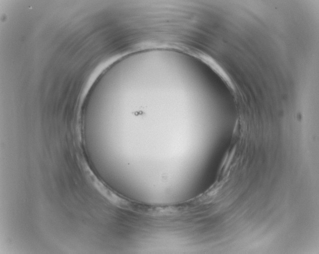 X0000074971148200609291931