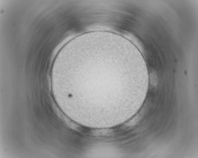 X0000074971150200609291931