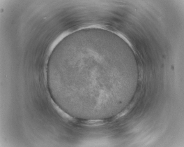 X0000074971151200609291932