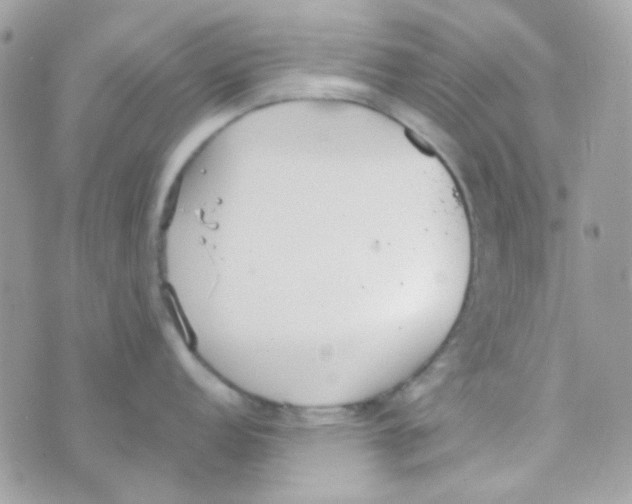 X0000074971152200609291932