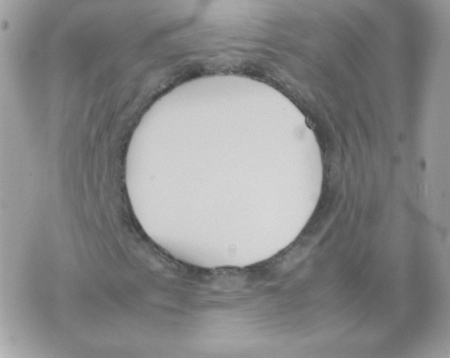 X0000074971153200609291931