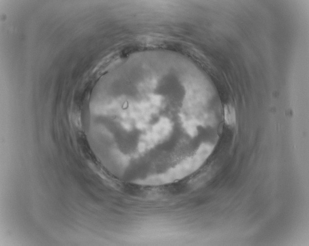 X0000074971155200609291931