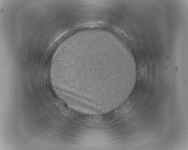 X0000074971158200609291931