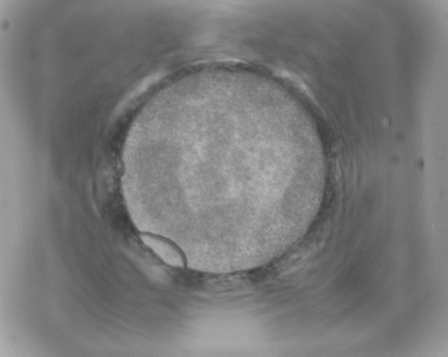 X0000074971159200609291931