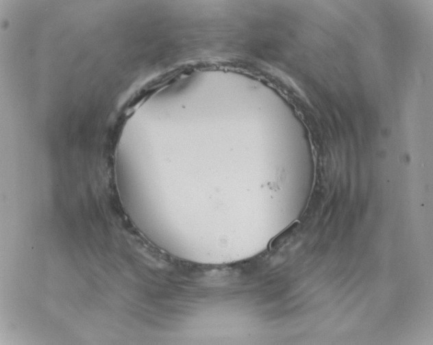 X0000074971160200609291931