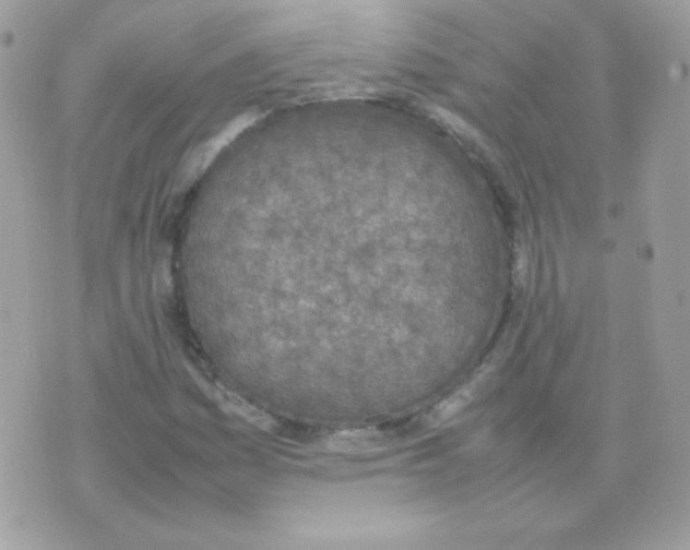 X0000074971161200609291931