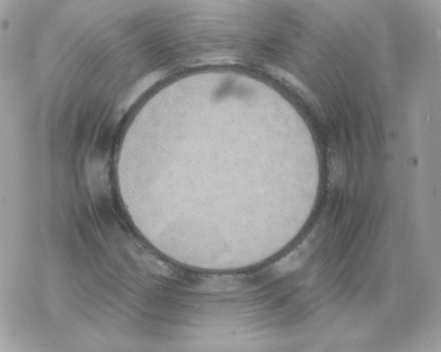 X0000074971162200609291931