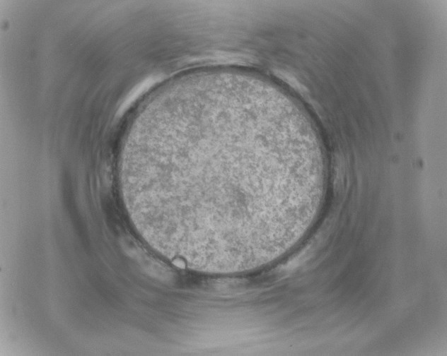 X0000074971163200609291931