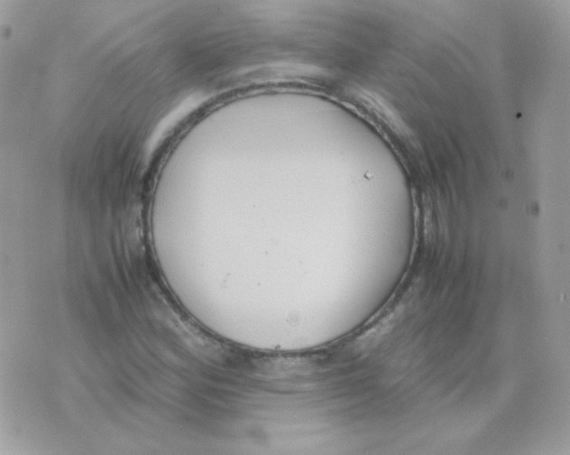 X0000074971164200609291931