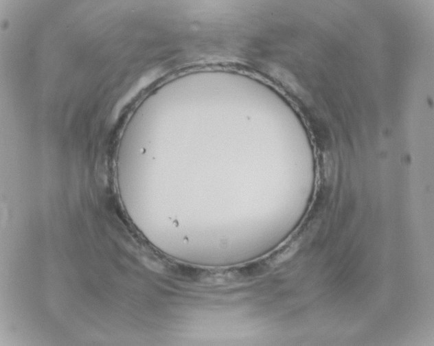 X0000074971165200609291931