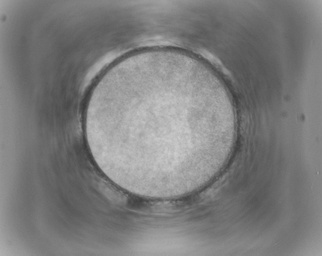 X0000074971167200609291931