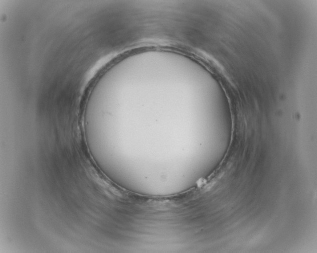 X0000074971168200609291931