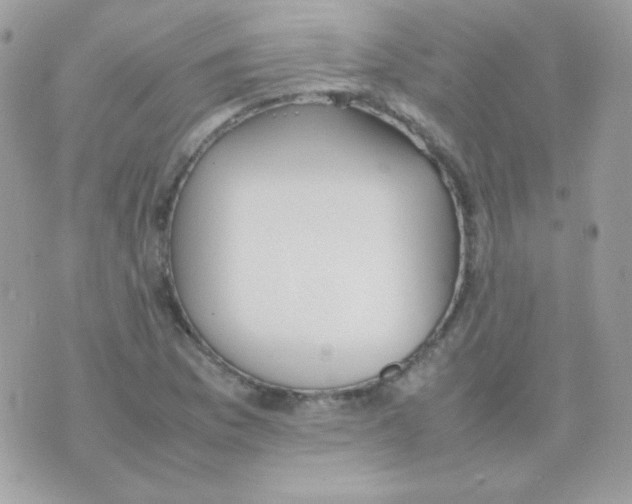 X0000074971169200609291930