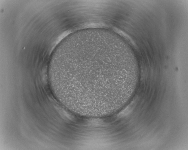 X0000074971170200609291930