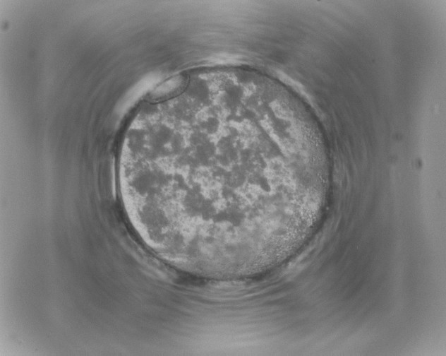 X0000074971171200609291930