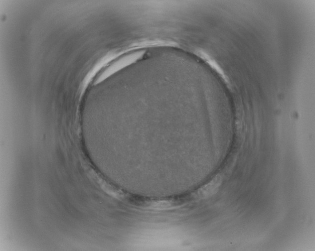 X0000074971173200609291930