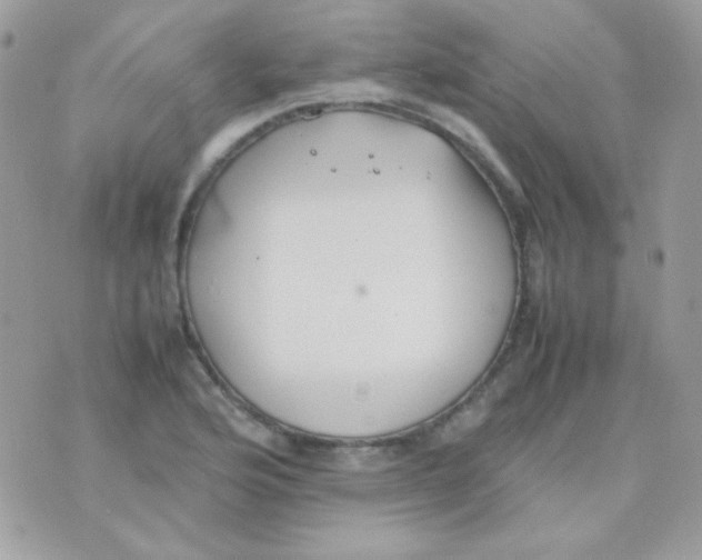 X0000074971176200609291930