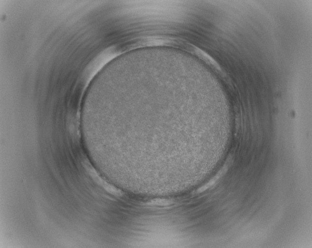 X0000074971178200609291930