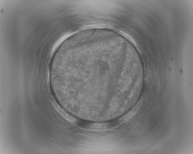 X0000074971179200609291930