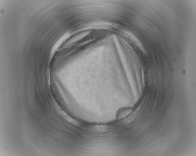 X0000074971180200609291930