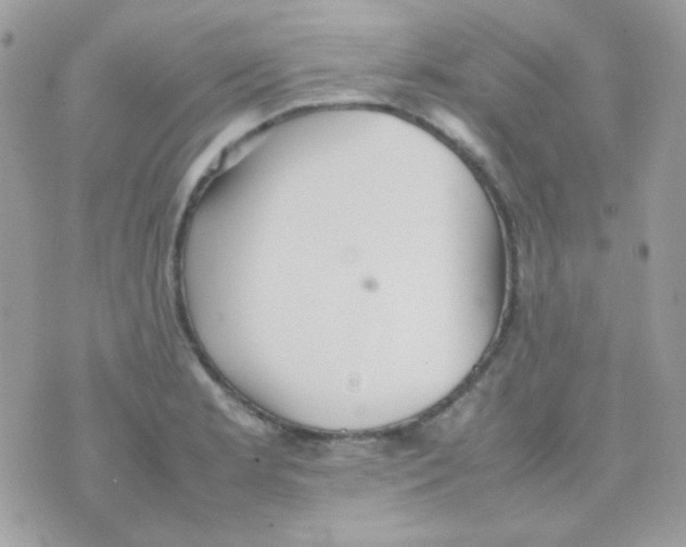 X0000074971181200609291930