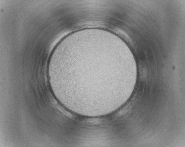 X0000074971182200609291930