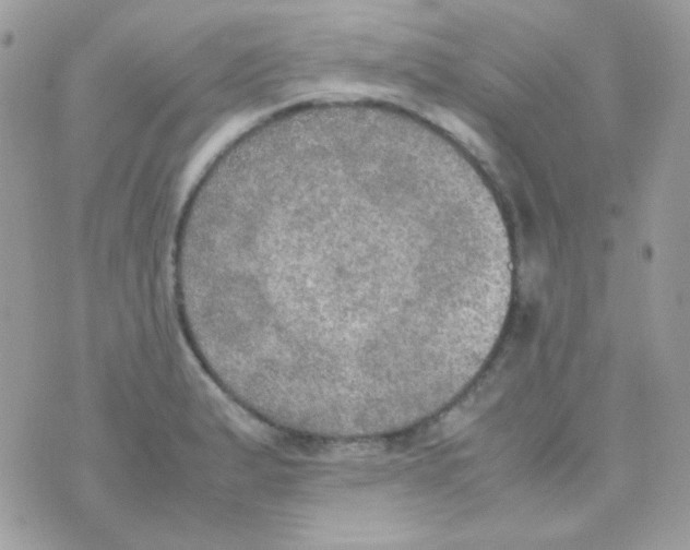 X0000074971183200609291930