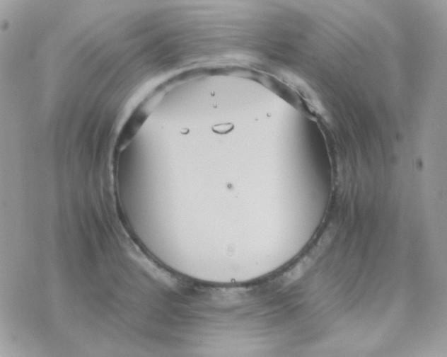 X0000074971184200609291930