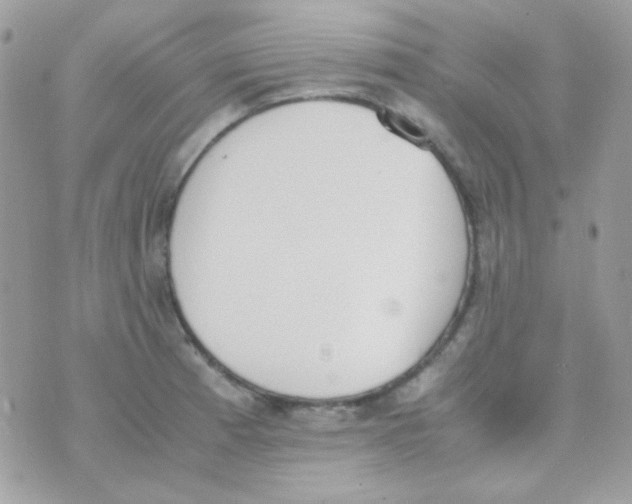 X0000074971185200609291930