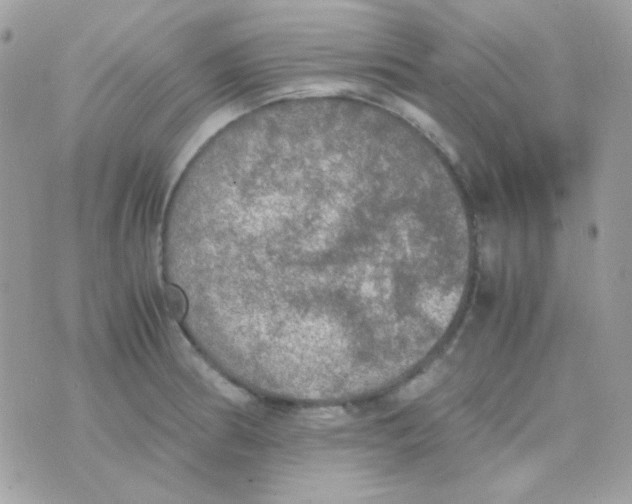 X0000074971186200609291930