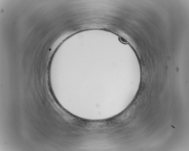 X0000074971187200609291930