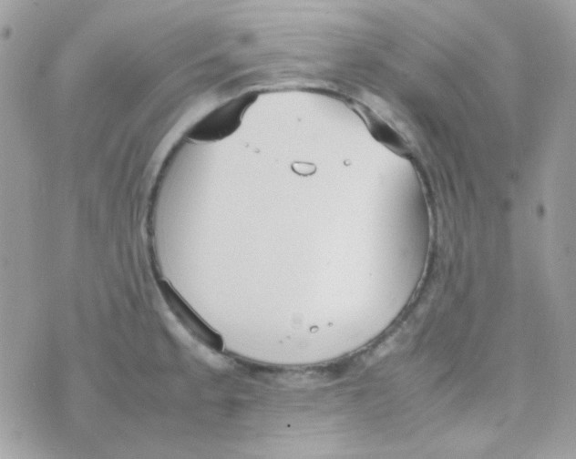 X0000074971189200609291930