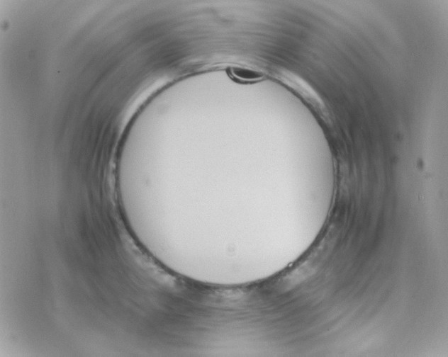 X0000074971190200609291930