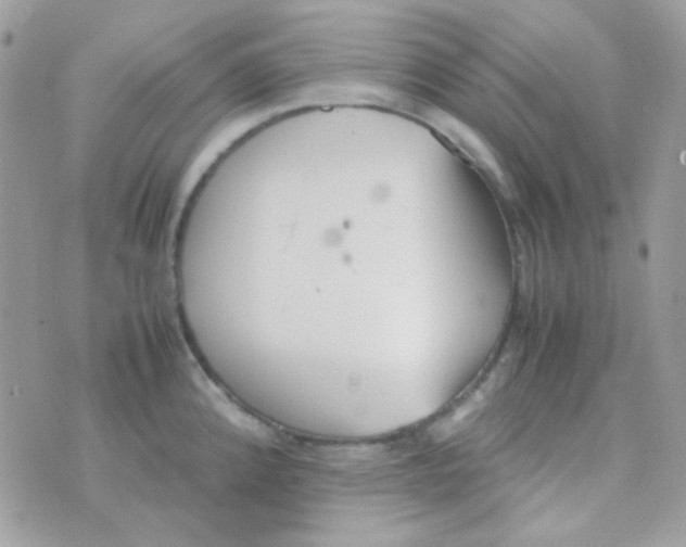 X0000074971192200609291930