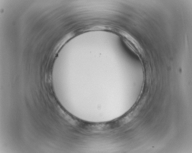 X0000074971193200609291930