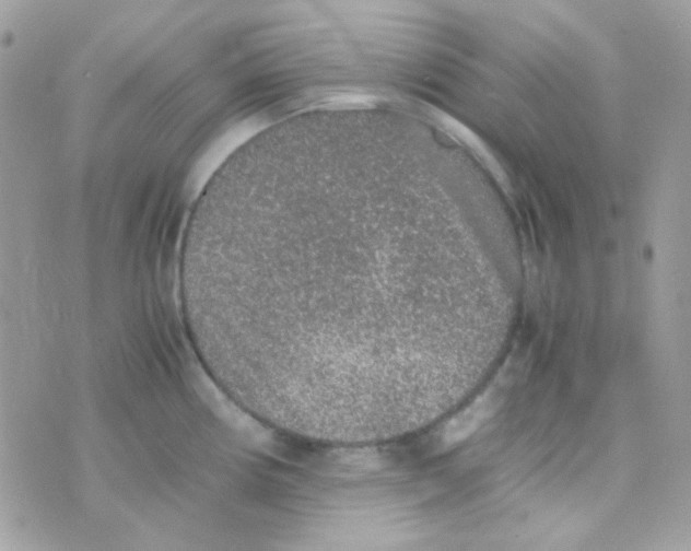 X0000074971194200609291930