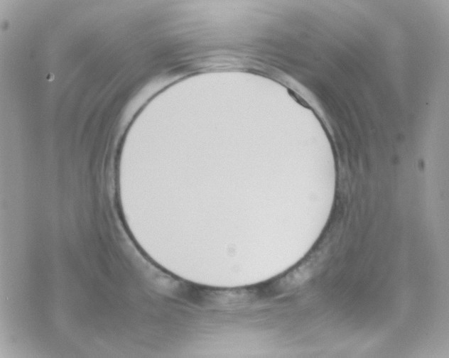 X0000074971195200609291930