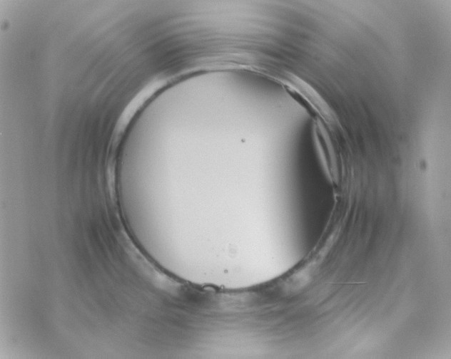 X0000074971196200609291930