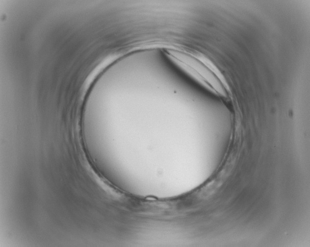 X0000074971197200609291930