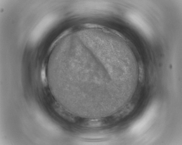 X0000074971198200609291930