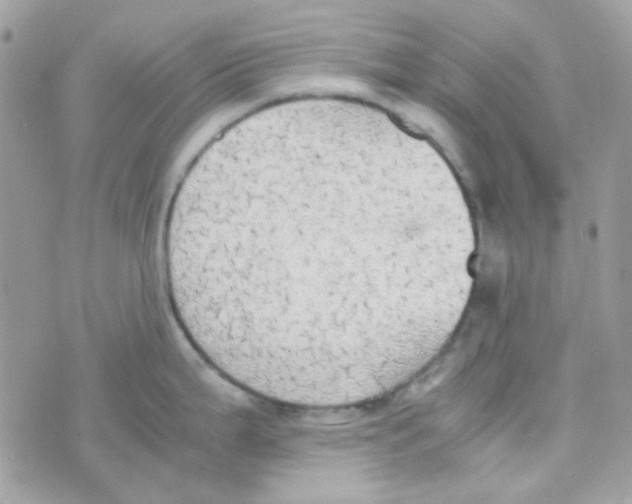 X0000074971199200609291930