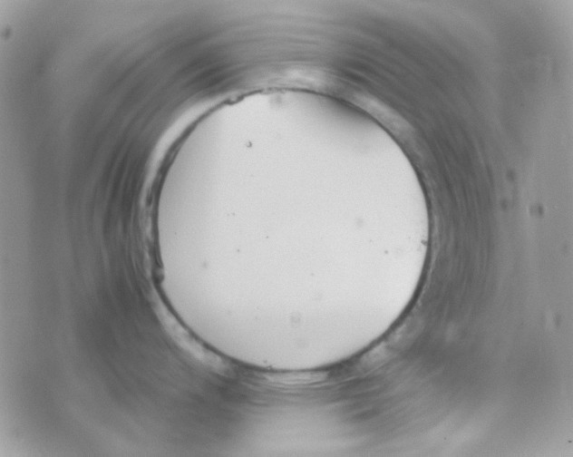 X0000074971200200609291930