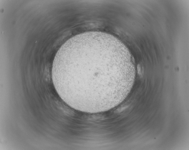 X0000074971203200609291929