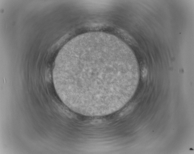 X0000074971204200609291929