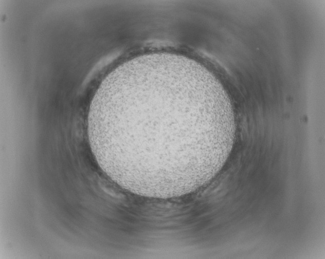 X0000074971207200609291929