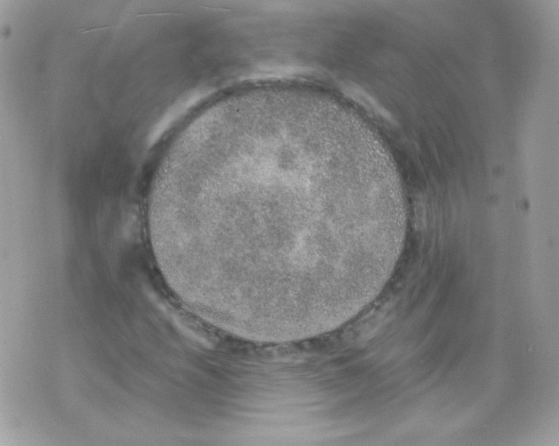 X0000074971208200609291929