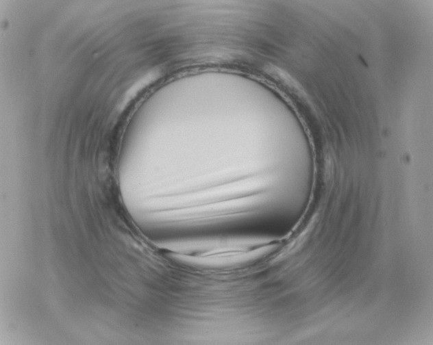 X0000074971210200609291929