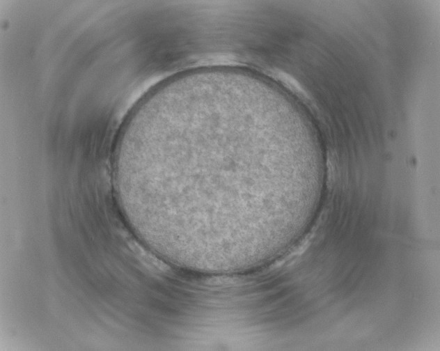 X0000074971212200609291929