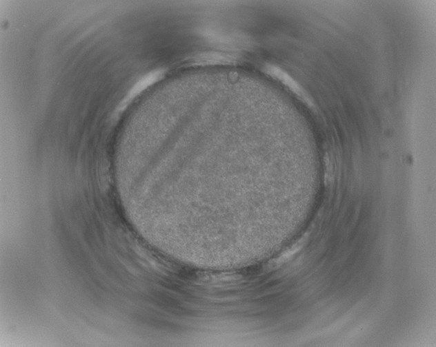 X0000074971213200609291929